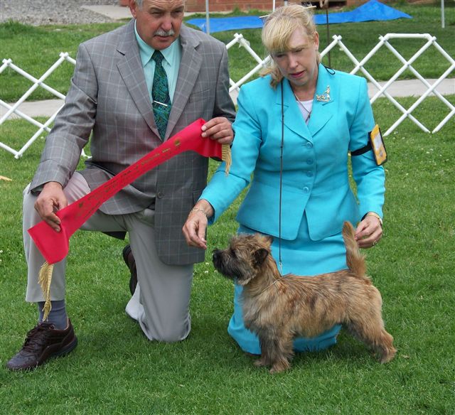 Cairn Terrier Club of Victoria - News